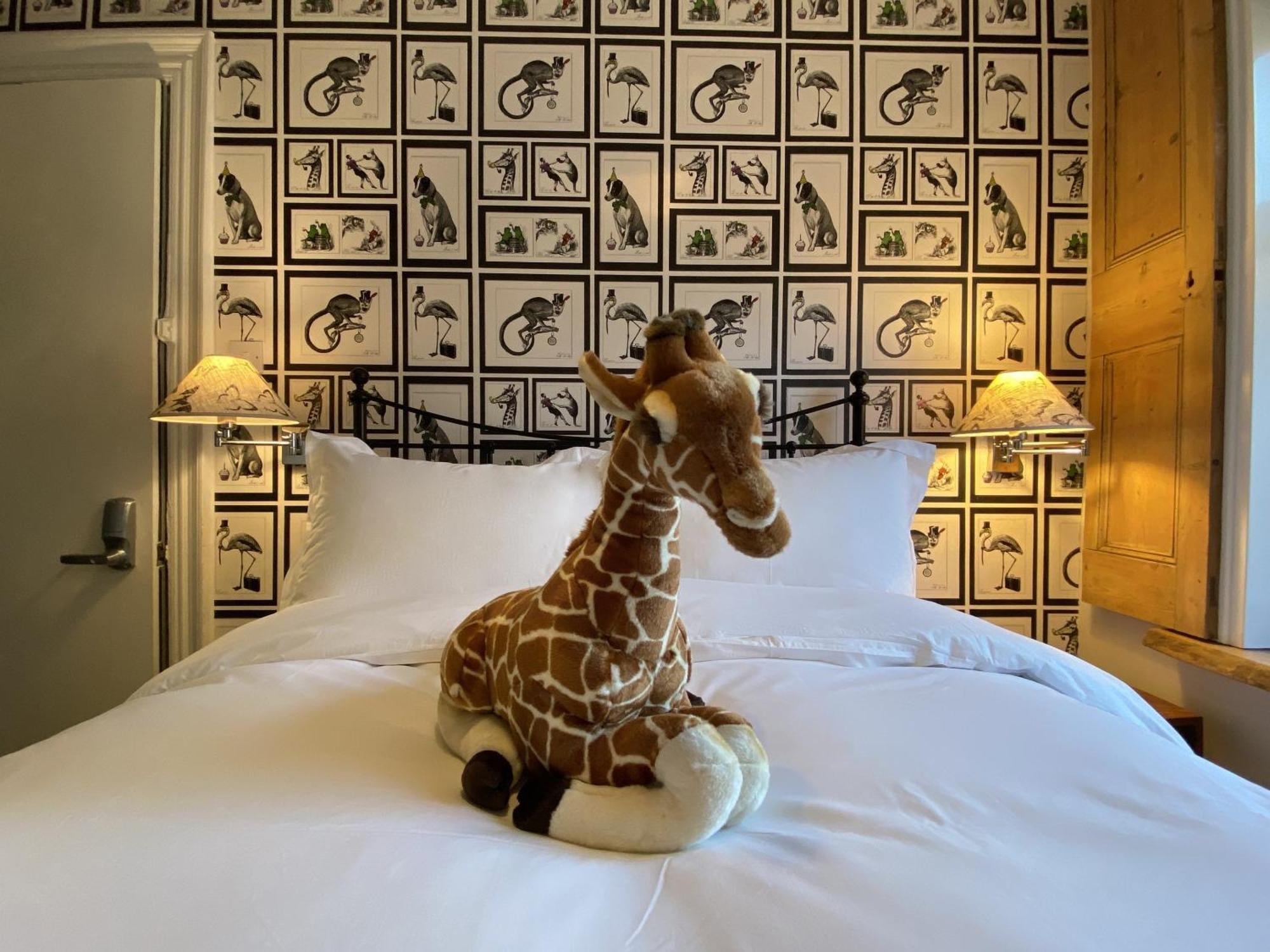 27 Brighton Guesthouse Zewnętrze zdjęcie